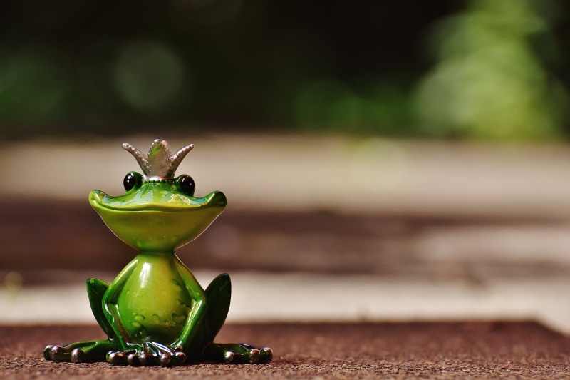 indoors, cute, focus, figure, crown, shallow, animal, food, food and drink, still life, focus on foreground, figurine, frog, table, green Color, vegetable