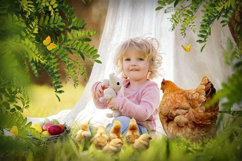 nature, babyhood, sweet, spring forward, baby, young, one person, stuffed toy, outdoors, plant, chicken, day, girl, representation, portrait, little, real people