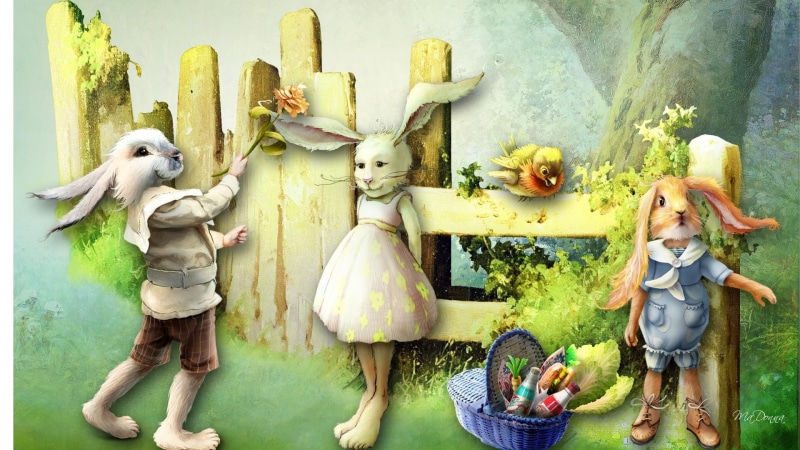 bunny, 1080P, tale, mendacity, flowers, rabbits, falsity, rabbit, fairy, story, fabrication, bird, fence, fairy tale, whimsical