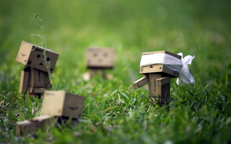 hide, hide and seek, tray man fairy tale, tray man, man, meadow, fairy, danbo, a shocked, tale, seek, danboard, tray, shocked, 1080P, green