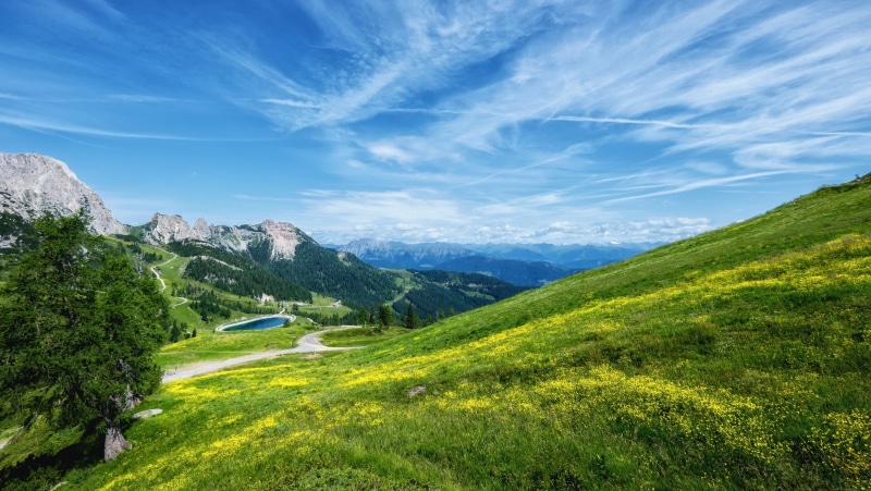 land, nature, tree, mountain range, beauty in nature, no people, environment, plant, day, scenics - nature, 4K, idyllic, outdoors, landscape 4k hd quality desktop