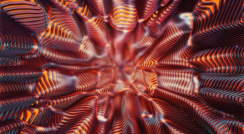 pattern, Artwork, Motion, backgrounds, full frame, Artistic, invertebrate, Psychedelic, beauty in nature, animals in the wild, animal, feather, animal wildlife