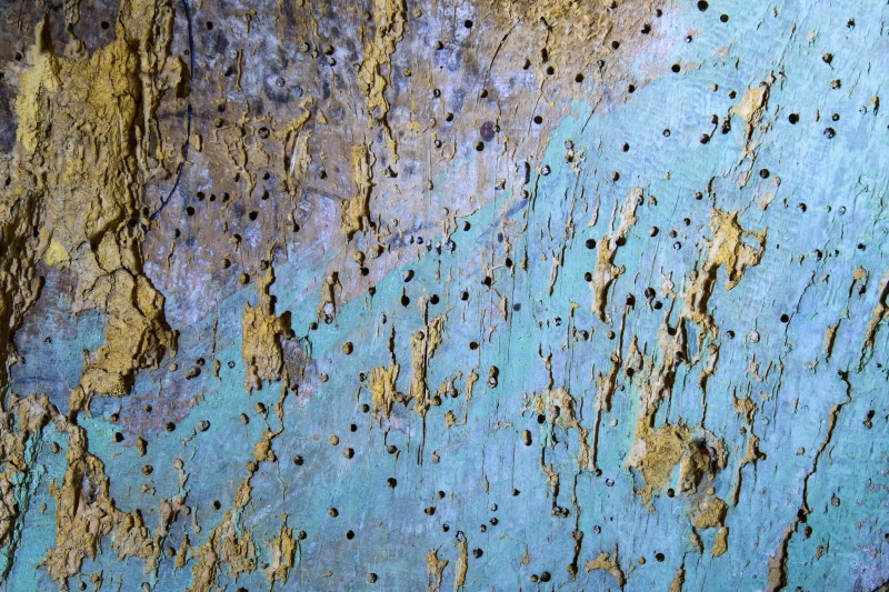 weathered, paint, nature, built structure, deterioration, ruined, background, bad condition, rusty, run-down, day, close-up, textured, old, no people, light blue