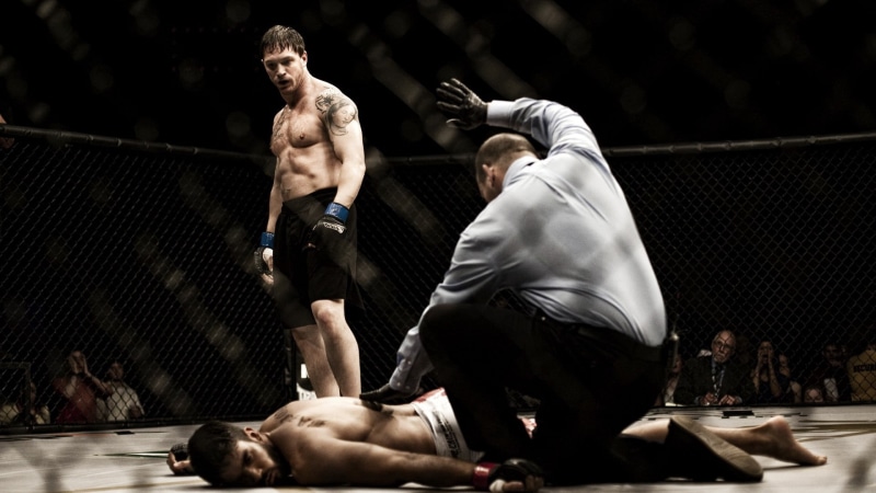 people, fighting, men, boxing ring, athlete, long, rivalry, s, sport, aggression, UFC, group of people, boxing - sport, determination, chest, hitting, sleeved