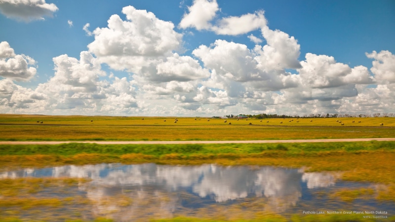 lake, pothole, northern, 2K, plains, north, great, Nature, dakota