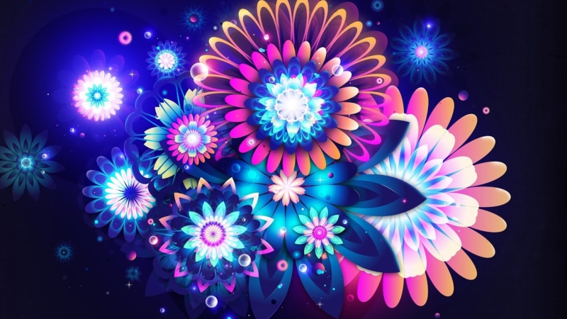 cool, 2560x1440, Colorful, 2K, Flowers, mac, ultra hd flowers, flower