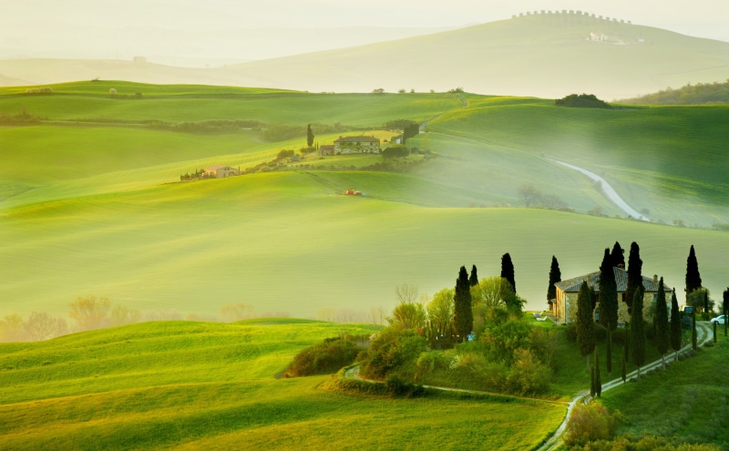 no people, non-urban scene, tranquil scene, hill, Tuscany, two, field, plant, rolling landscape, beauty in nature, land, idyllic, environment, Nature, white