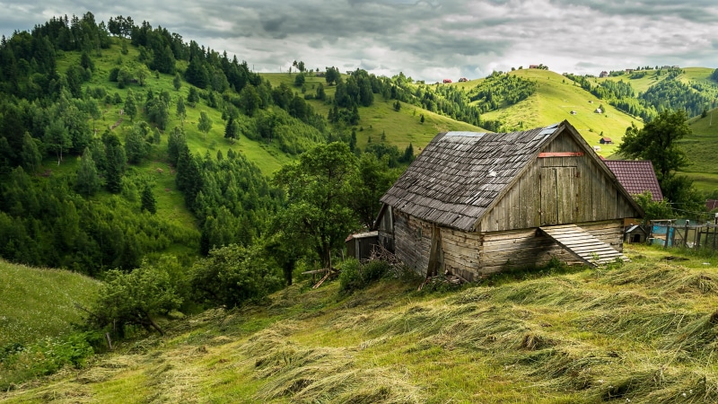 mountain village, highland, hut, romania, europe, barn, grassland, tree, mountain, transylvania, nature, hill, 4K, village, green, rural area, sky, grass
