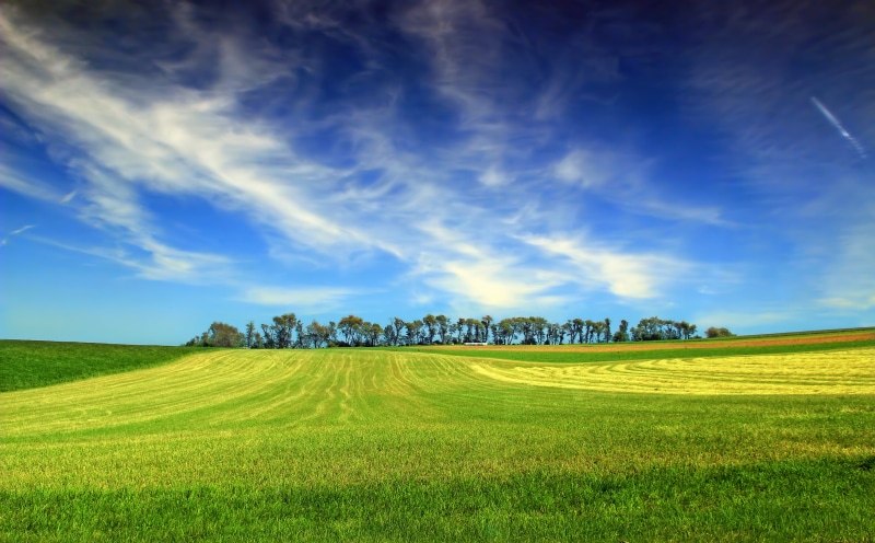 outdoors, 5K, Lehigh Valley, landscaped, spring, sani, grass, summer, farm, landscape, meadow, trees, sky, blue sky, Moore Township, green Color, hina