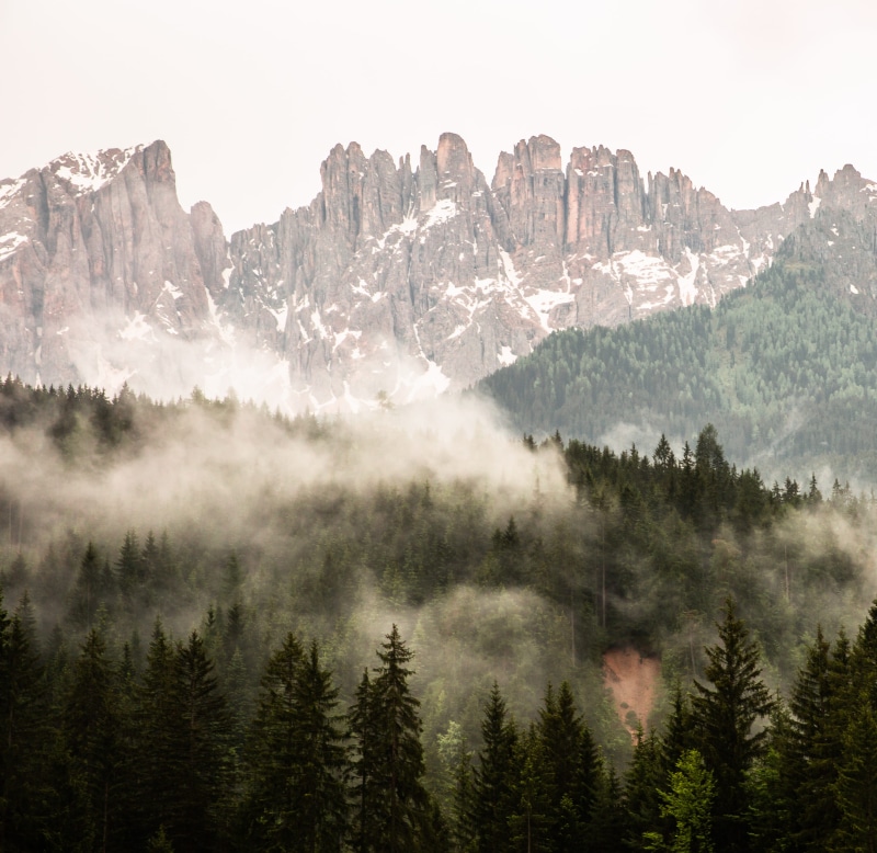 forest, tree, mountain range, day, dolomiti, mountain peak, non-urban scene, beauty in nature, sky, 2K, no people, tranquil scene, vigo di fassa, nature