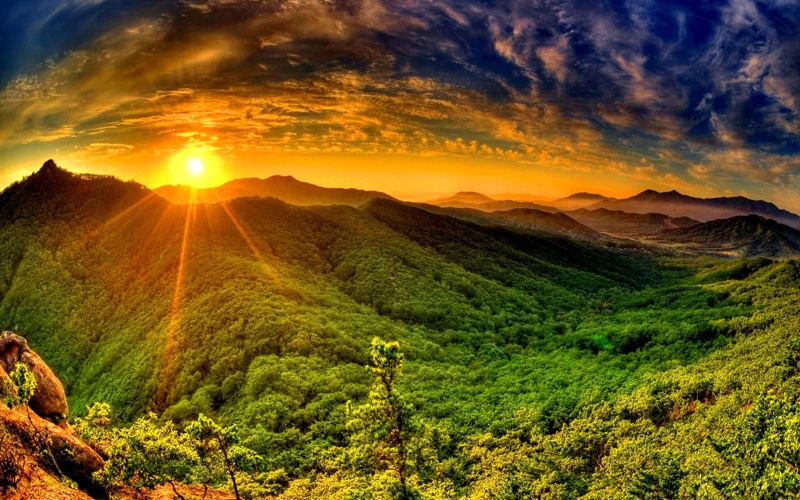 forest, 1080P, sky, sun, sunrise, mountain, green, tsoncheva, hd, rays, desktop, red, resolution, cloud, dense