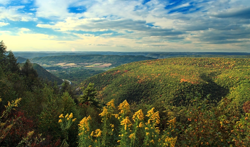 low light, cirrus, mountain, hill, summer, cumulus, clouds, time, tree, flowers, 4K, forest, Appalachian Mountains, rural Scene, europe, wildflowers, photography