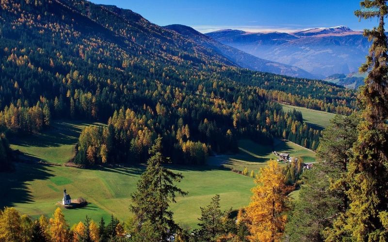 funes, trees, nature and landscapes, forests, italy, val di funes, di, 1080P, val