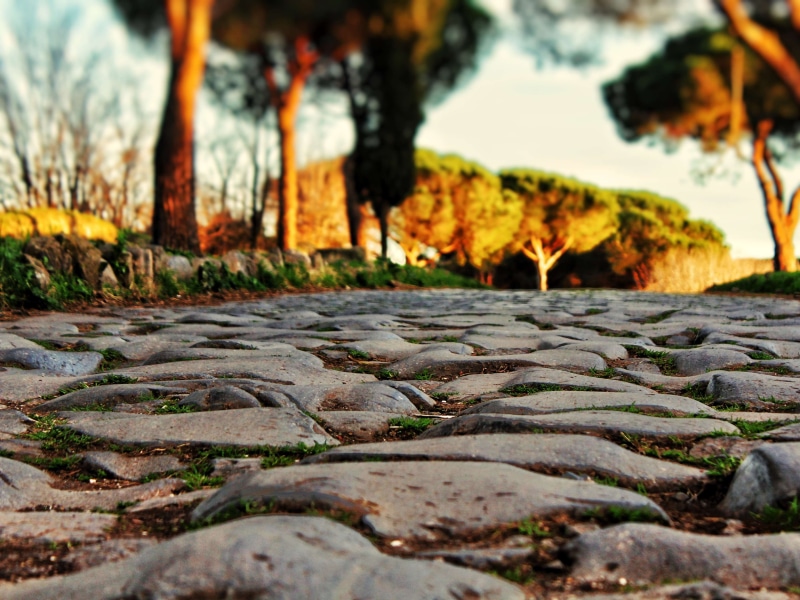 old street, beauty in nature, selective focus, no people, arancia, trunk, natura, rock - object, parco, roma, italia, 4K, solid, plant part, outdoors