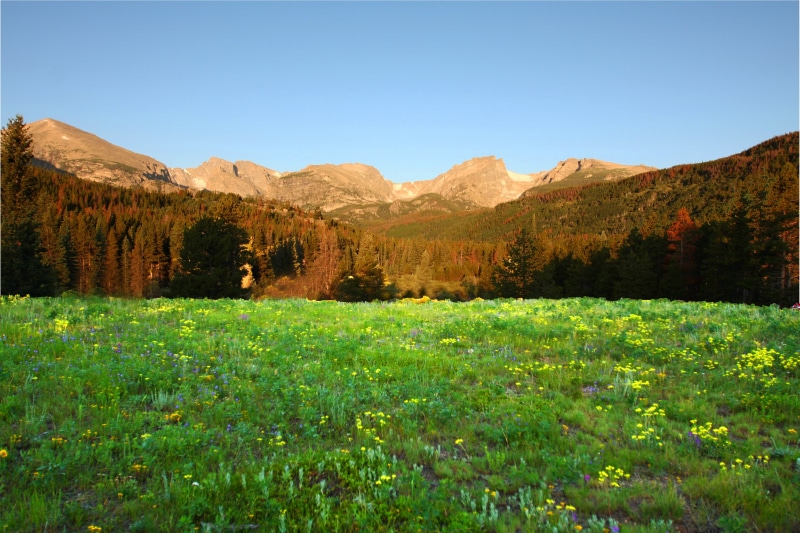 daytime, autumn, field, rocky, forest, national, landscape, 4K, scenics, park  forest, grass, nature, photograph, Rocky Mountain National Park, outdoors