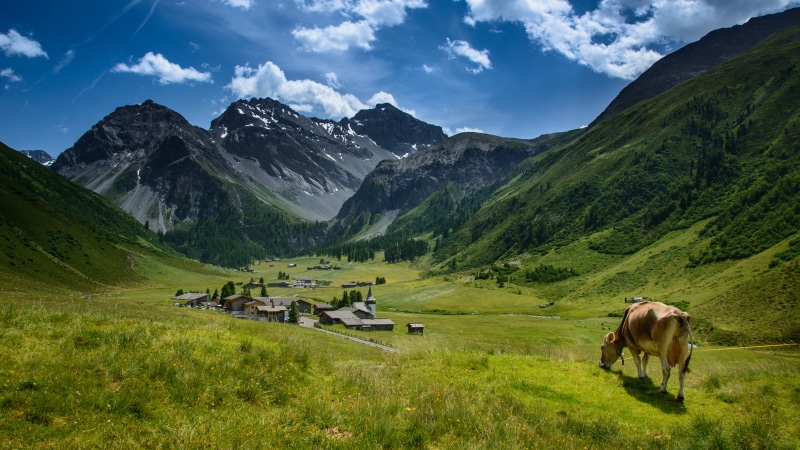 Natur, Swiss Alps, quaint, Davos, Berg, europe, Switzerland, mountain village, Swiss  alps, green grass, summer, cloudy, Wolken, Berge, scenics, Bergdorf