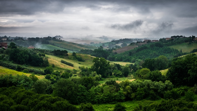tree, agriculture, 1080P, Italy, summer, hills, cloudy, photo, Tuscany, rural Scene, geotagged, fuji, cloud - Sky, outdoor, fujifilm, outdoors, trees