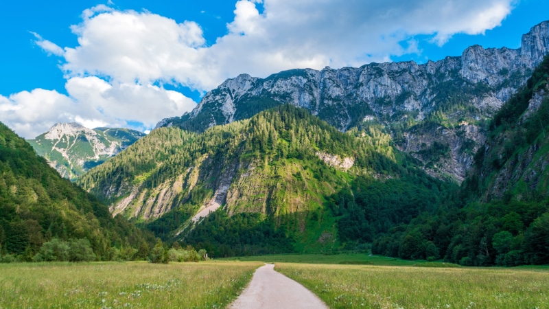 green Color, valley, Brilliant, direction, europe, nature, no People, photos, blue, path, idyllic, 5K, the way forward, grass, cloud - Sky, forest, non-urban scene