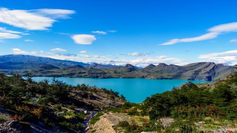 montanha, nature, trek, colorful, amazing, wild, torres del paine  chile, Circuit, hike, surrounded, puerto natales, lake, trekking, outdoors, tree, water
