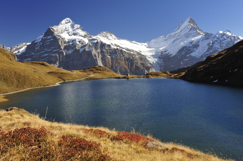 bernese oberland, postkartenmotiv, winter, snow, mountains, idyll, tree, wetterhorn, calendar image, autumn mood, lake, tranquil Scene, bernese horns, scenics