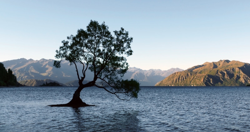 landscape, near, Dedication, white sky, rocky mountain, water, white, Lake Wanaka, body of water, green, NZ, lake, Tree, CC0, mountain, body, rocky, photos