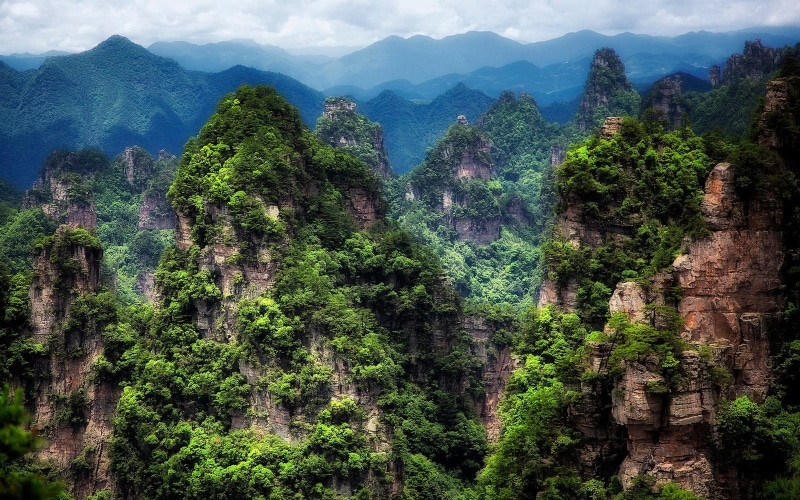 landscape, environment, beauty in nature, travel, non-urban scene, aerial, growth, no people, green color, tranquil scene, plant, brown, nature, China