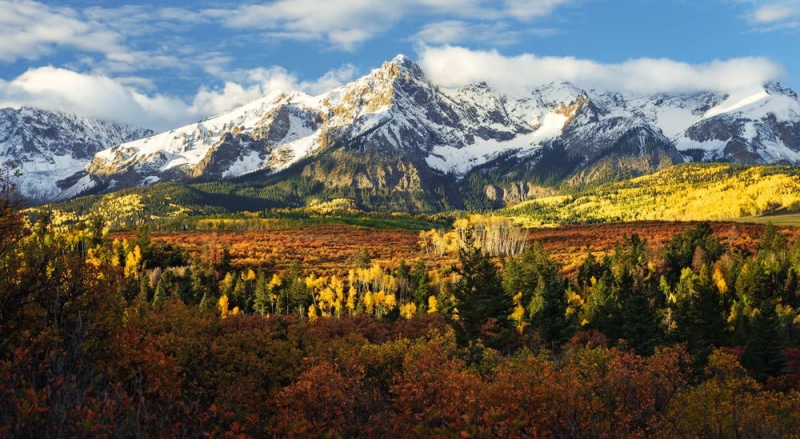 scrub oak, covered, forest, fall, Pine, Tree, autumn, Nature, sky, mountain Peak, mountain Range, Environment, Forever, white, 480P, landscape, san juan mountains