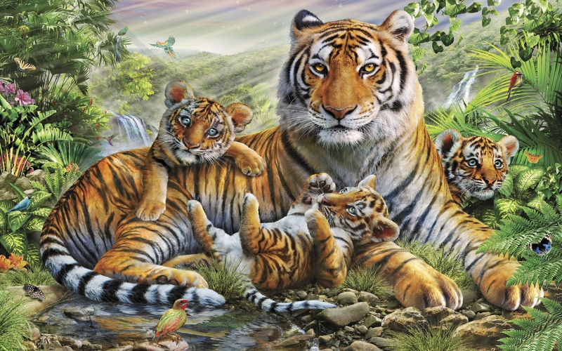 animal, abstract, hd, jungle, tiger, cubs, 1080P