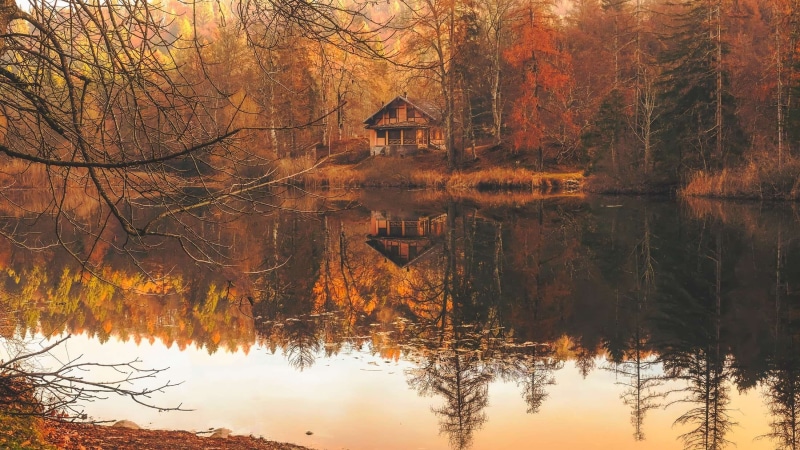 scenics - nature, orange color, water, beautiful, cottage, reflection, country, lake, home, cabin, tranquility, rural, outdoors, woods, beauty in nature