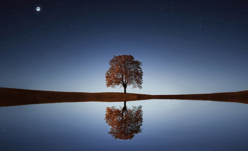 sky, non-urban scene, 1080P, Amazing, Tree, moonlight, Fall, Brown, Blue, tranquility, Water, plant, Breathtaking, Moon, beauty in nature, Evening, Reflection