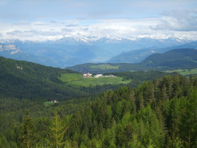 plant, tranquil scene, dolomiti, grass, mountain range, green color, spring, tranquility, non-urban scene, nature, tree, alto adige, weissenstein, outdoors