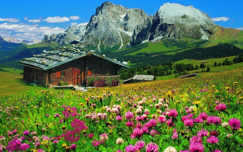 desktop, 1080P, mountains, wooden, landscape, trees, spring, white, tyrol, flowers, blue, forest, house, colorful, pine, clouds, rocky, hd, mountain, south