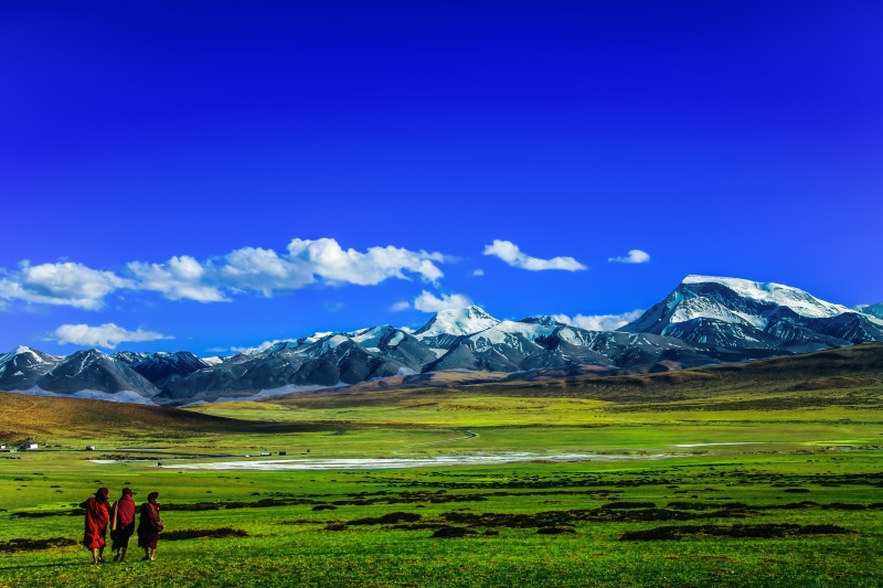 majestic, landscape, wonder, 4K, buddhist, beauty in nature, field, environment, green color, autumn, tibet, bhikkhu, monks wondering, monk, activity