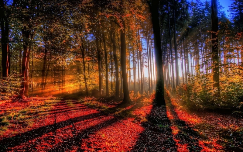 wonderful pictures of nature hd background 1920x1200, 1080P