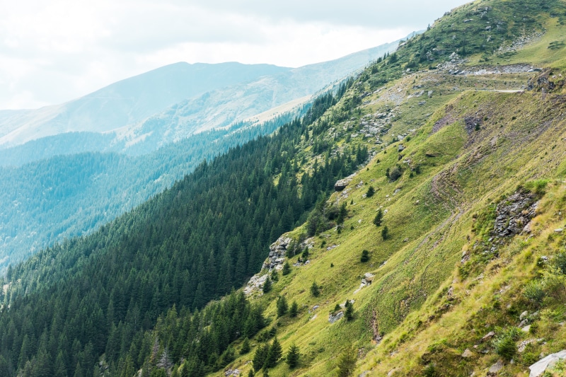 tranquil scene, european Alps, mountain Range, meadow, valley, green Color, plant, mountain, Romanian, green, blue, land, Countryside, outdoors, europe