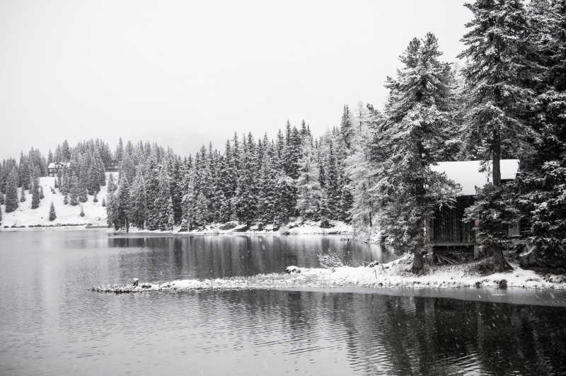 christmas, white, 2K, no people, tree, tranquility, lake, nature, sky, frost, non-urban scene, scenics, outdoors, snow, plant, waterfront, growth, baita
