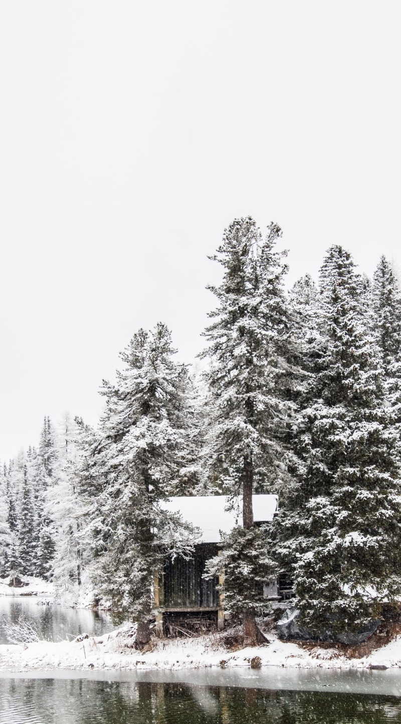 growth, day, fir, bianca, frozen, baita, 2K, dolomites, cold temperature, mountain, christmas, pine tree, sky, coniferous tree, nature, lake, ice, bow