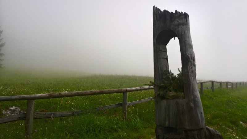 landscape, boundary, barrier, forest, nature, tranquil scene, plant, tranquility, day, outdoors, non-urban scene, no people, grass, fence, fog, environment
