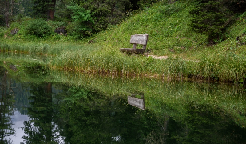 italy, grass, no people, beauty in nature, bench, lake misurina, plant, nature, waterfront, built structure, growth, 5K, misurina, tranquility, scenics - nature