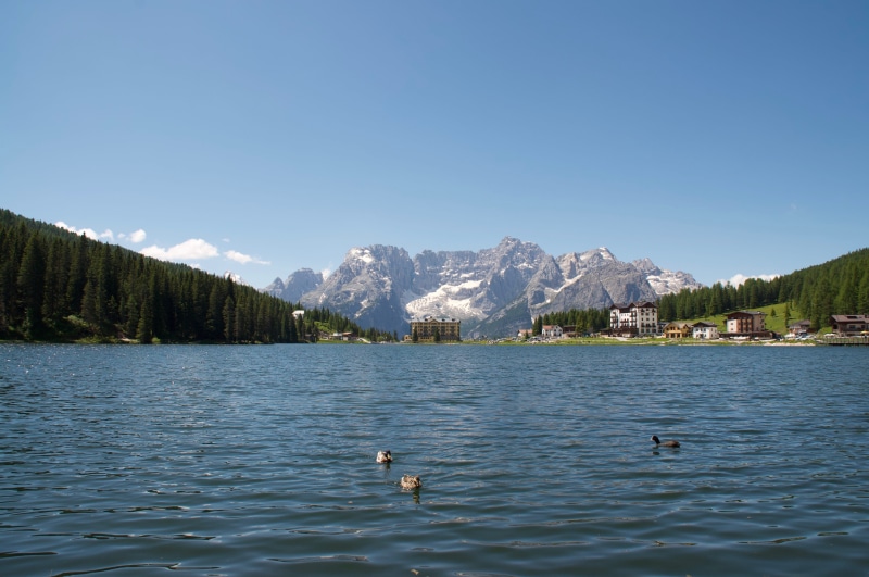 landscape, animal, nature, scenics - nature, vertebrate, no people, tranquil scene, animals in the wild, outdoors, water, dolomites, mountains, waterfront