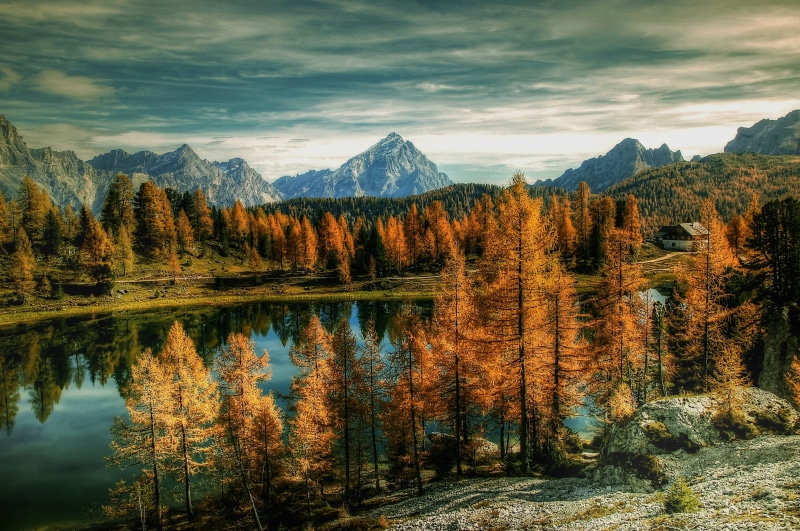 idyllic, scenics - nature, autumn, bergsee, 2K, light, plant, great, hike, reflection, tranquility, belluno, dolomites, italy, change, tranquil scene