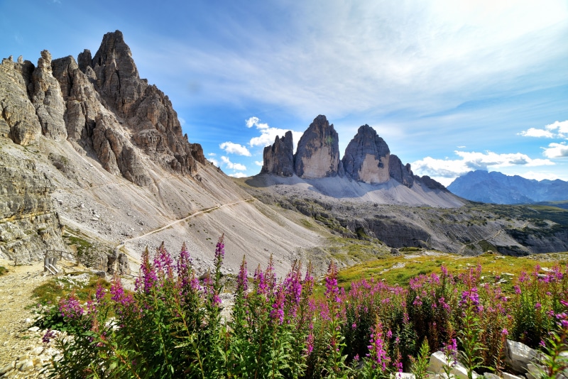 natural wonders, purple, summit, hiking, beauty in nature, mountain peak, sky, flower, rock, mountaineering, scenics - nature, mountains, rock - object
