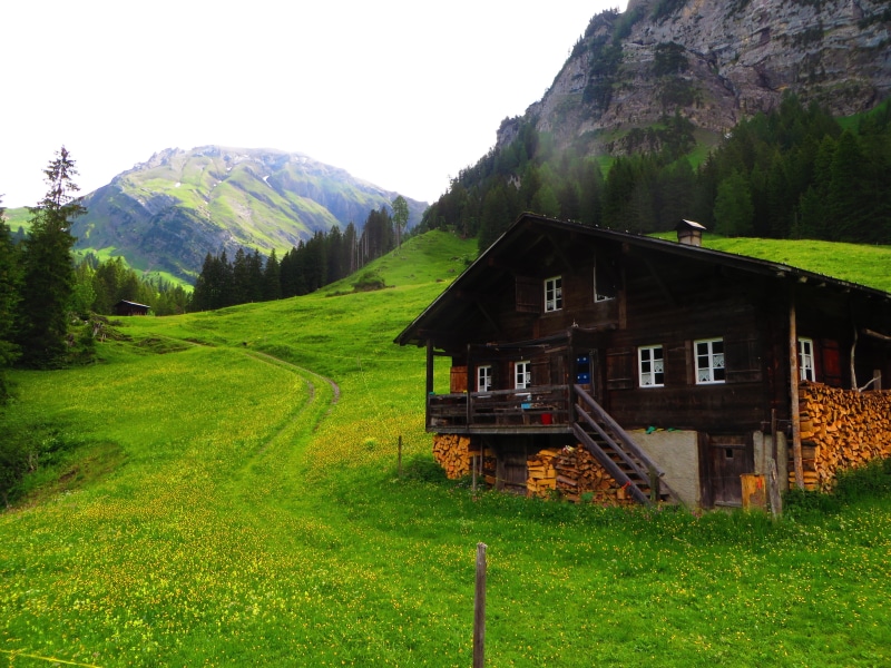 tree, sky, nature, chalet, Switzerland, building, grass, mountains, Lenk, 4K, beauty in nature, architecture, landscape, outdoors, Swiss Alps, field, pine trees