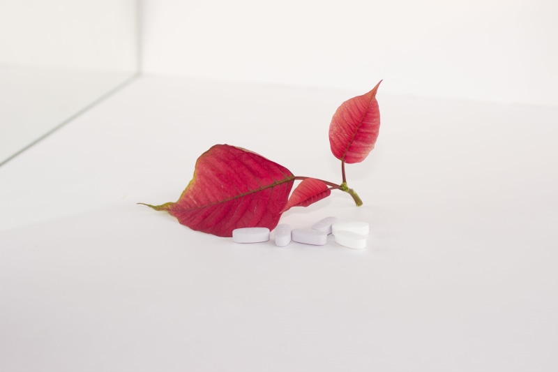 beauty in nature, medication, no people, softness, drug, treatment, plant, plant part, medicine, white background, close-up, white, white color, dry, change