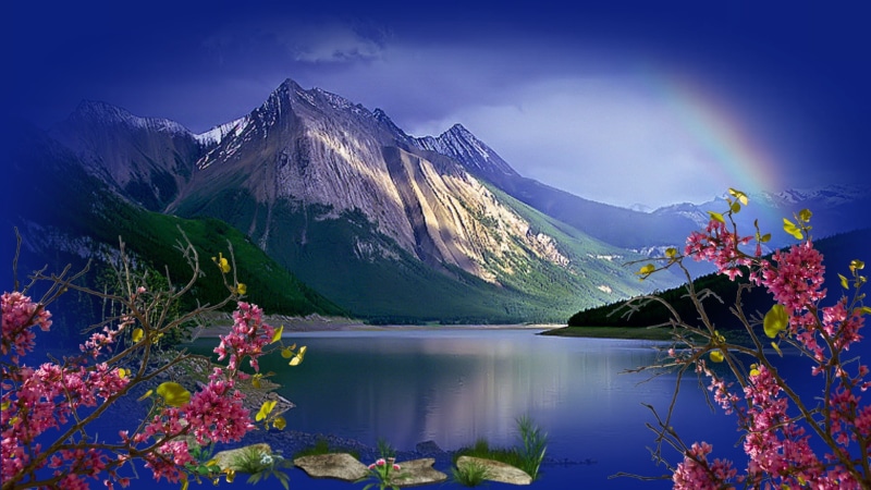 1080P, lago, naturaleza, flores