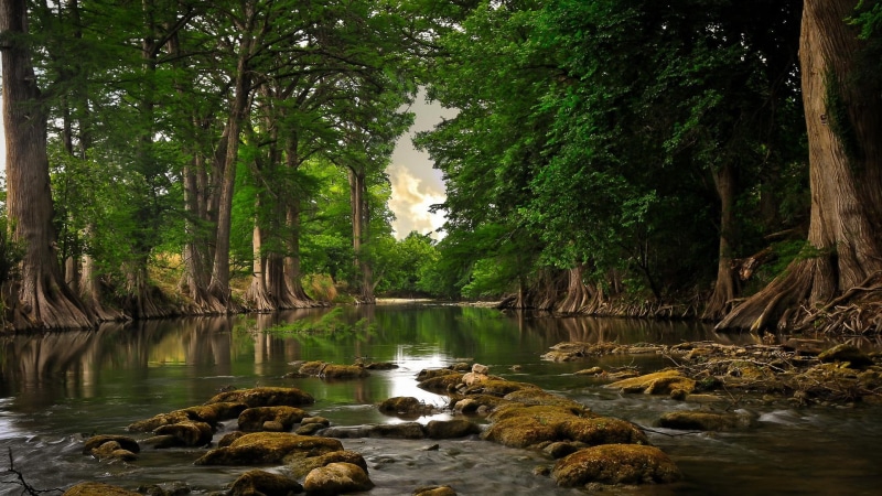 3d and abstract, bosque, en, rio, 1080P, el, river, tree, en el