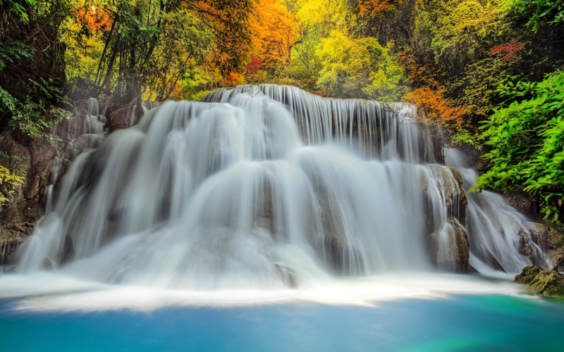 bosque, de, colores, 2K, cascadas, el, hojas, en