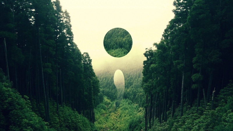 abstracto, Luna, 1080P, Bosque, Dark