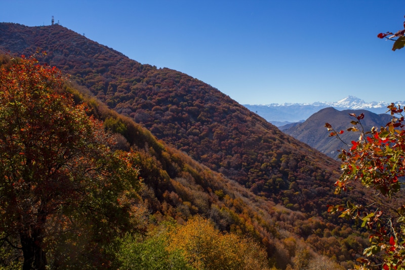 day, valley, beauty in nature, 5K, santiago, autumn, tranquility, travel destinations, bosques de chile, cerro el roble, mountain peak, environment, tranquil scene