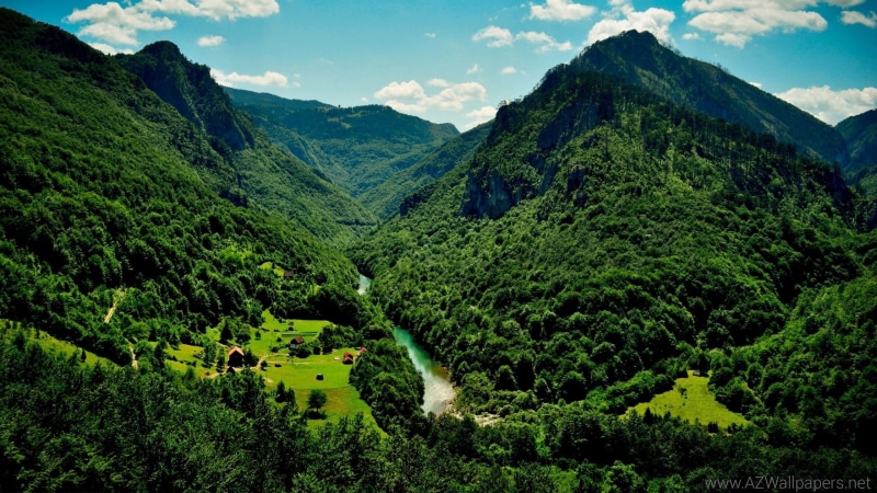 rio, naturaleza, bosque, montes, 2K, paisaje